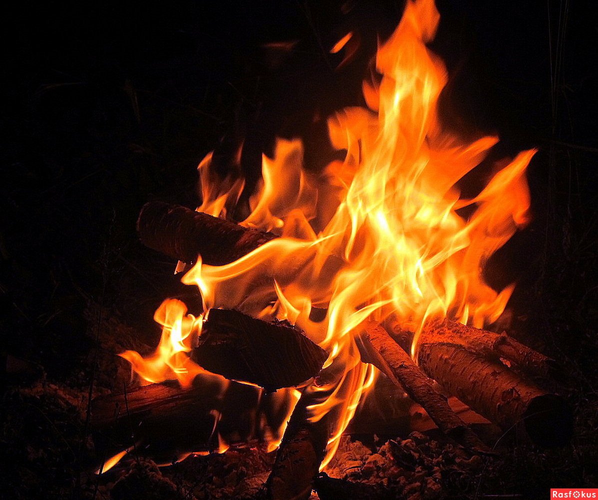 Огонь на природе ночью