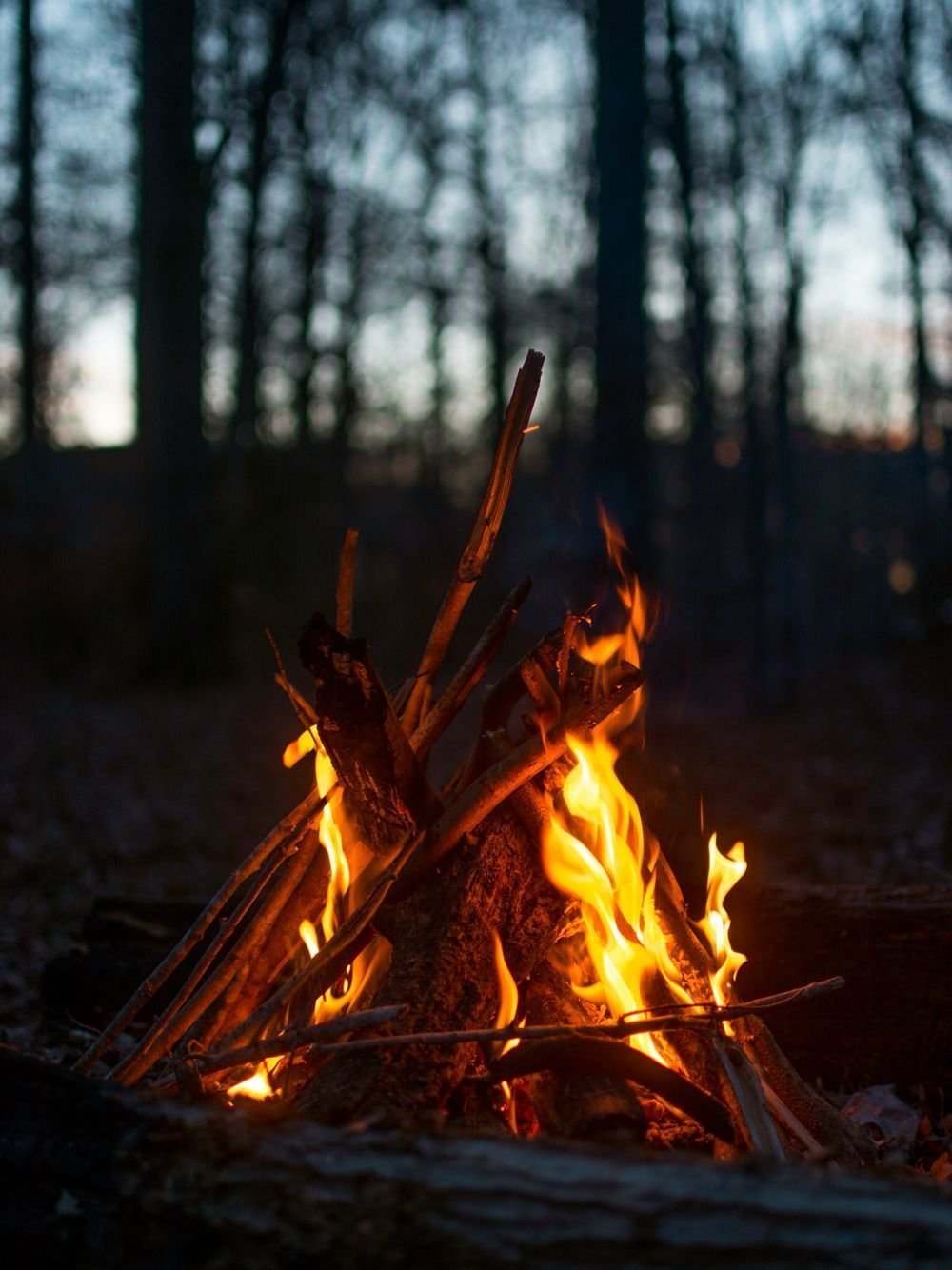 Осенний костер