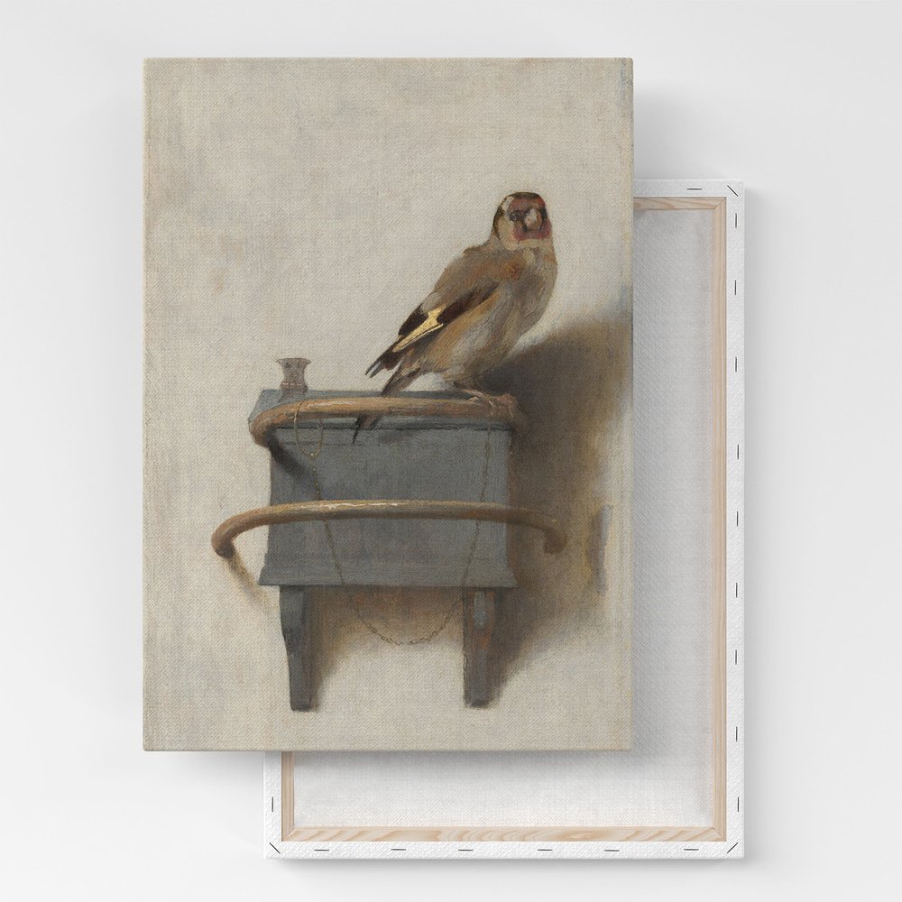 Черноголовый Чиж