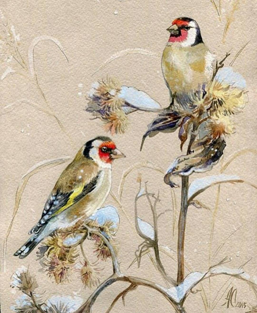 Птица с красным пятном на голове