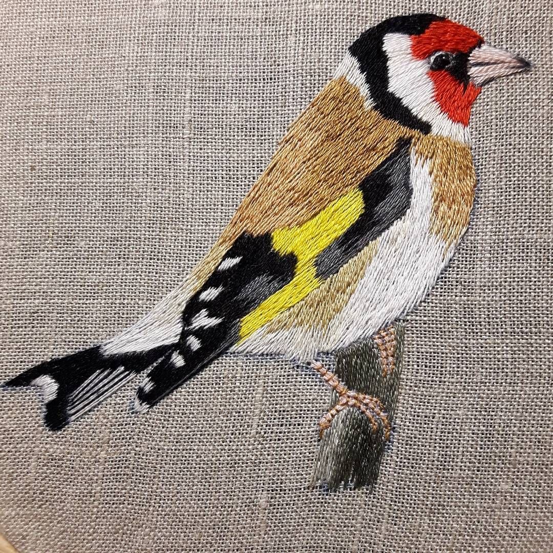 Щегол картинка для детей