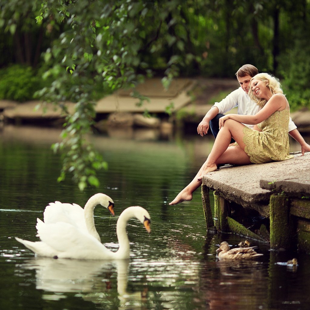 Чебоксары лебеди