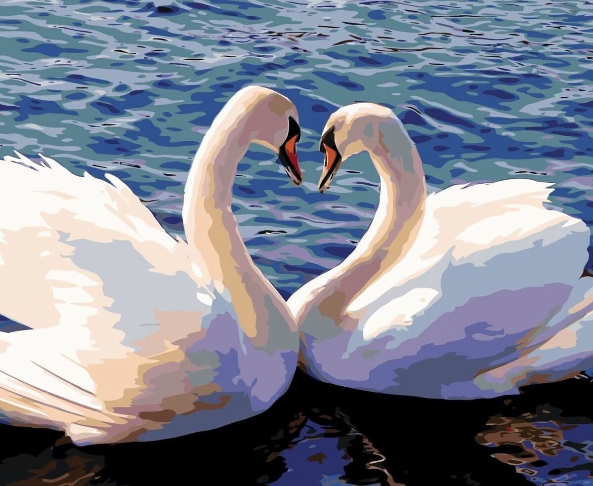 Пара лебедей на озере