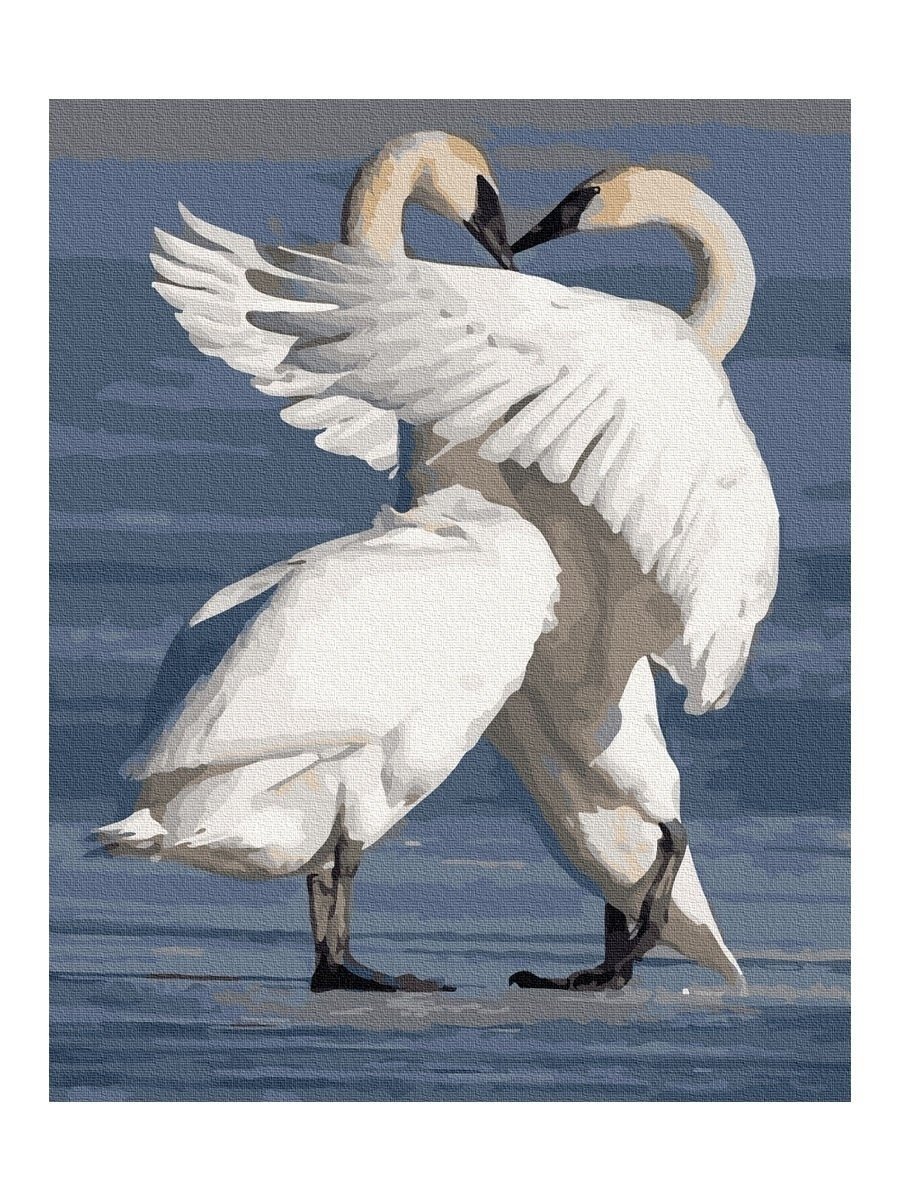 Лебеди на свадьбу