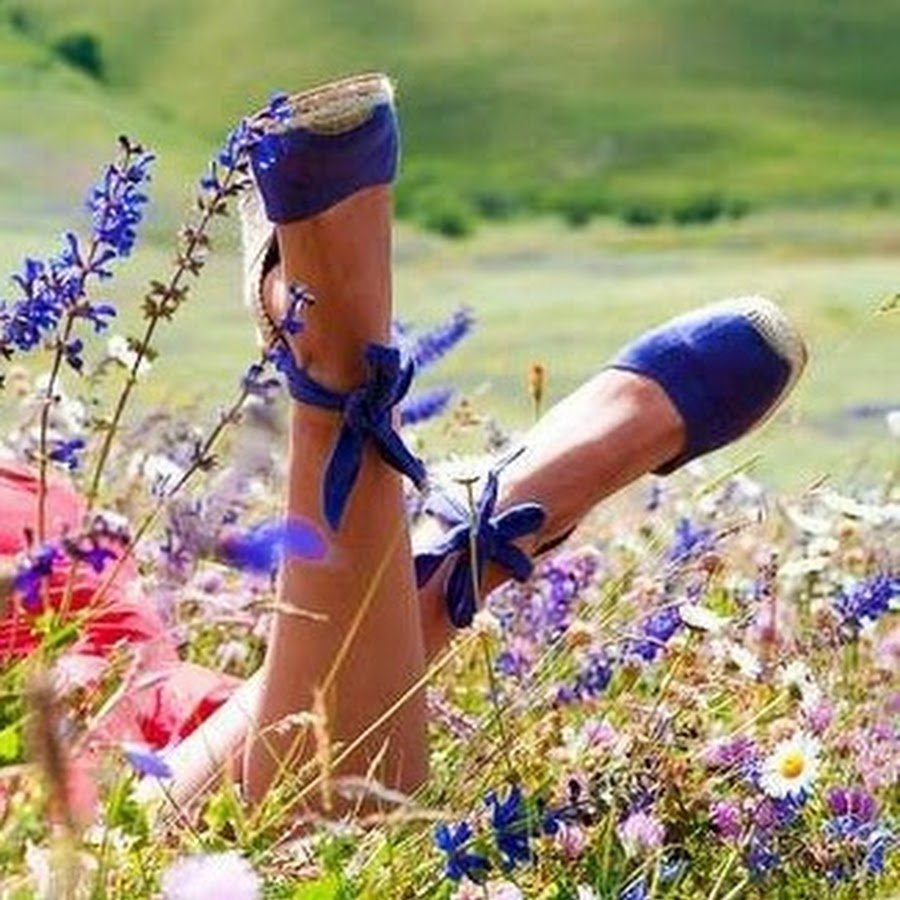 Жизнь прекрасна летом