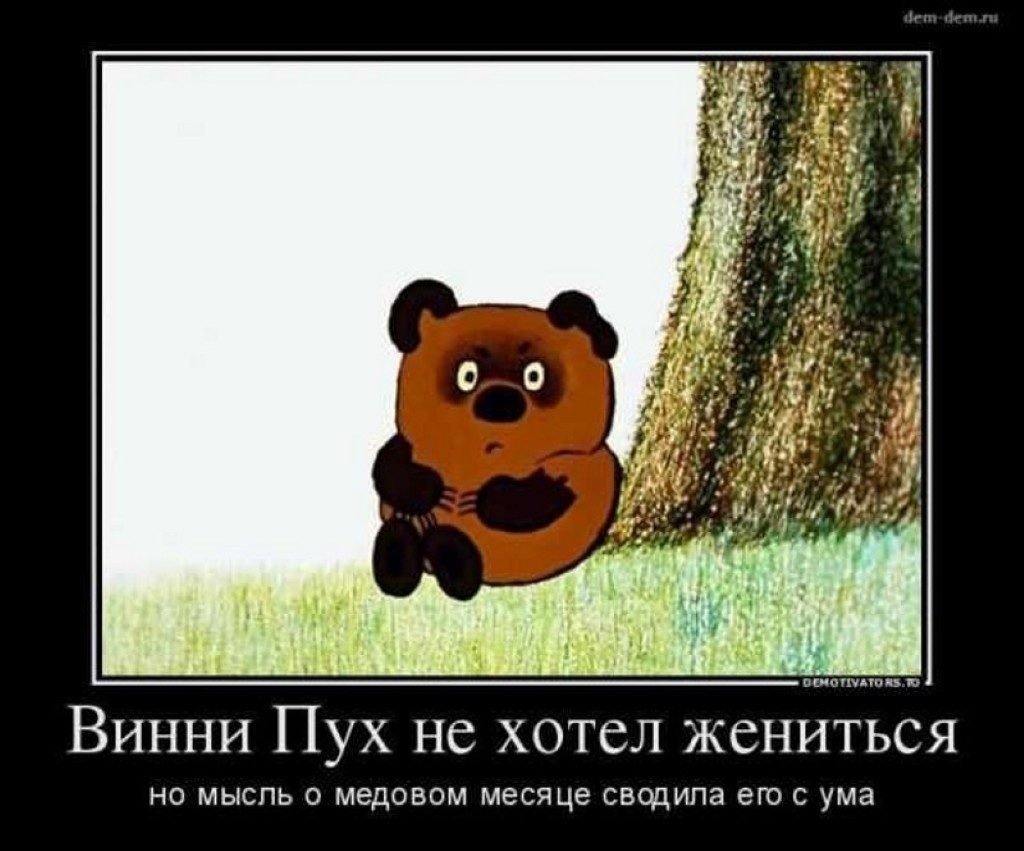 Винни пух приколы