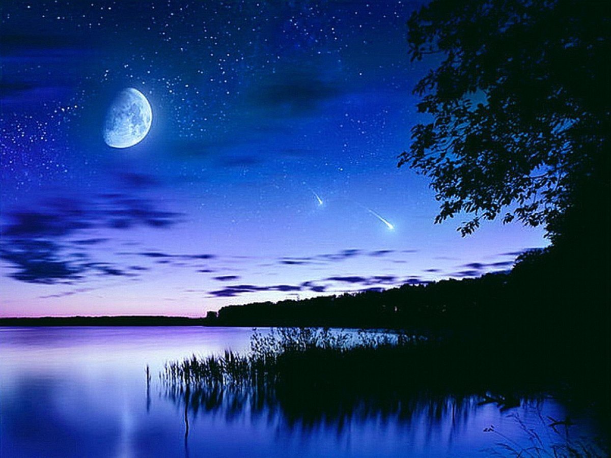 Лунная ночь