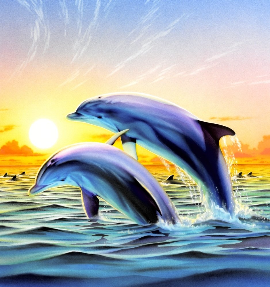 Дельфины живопись