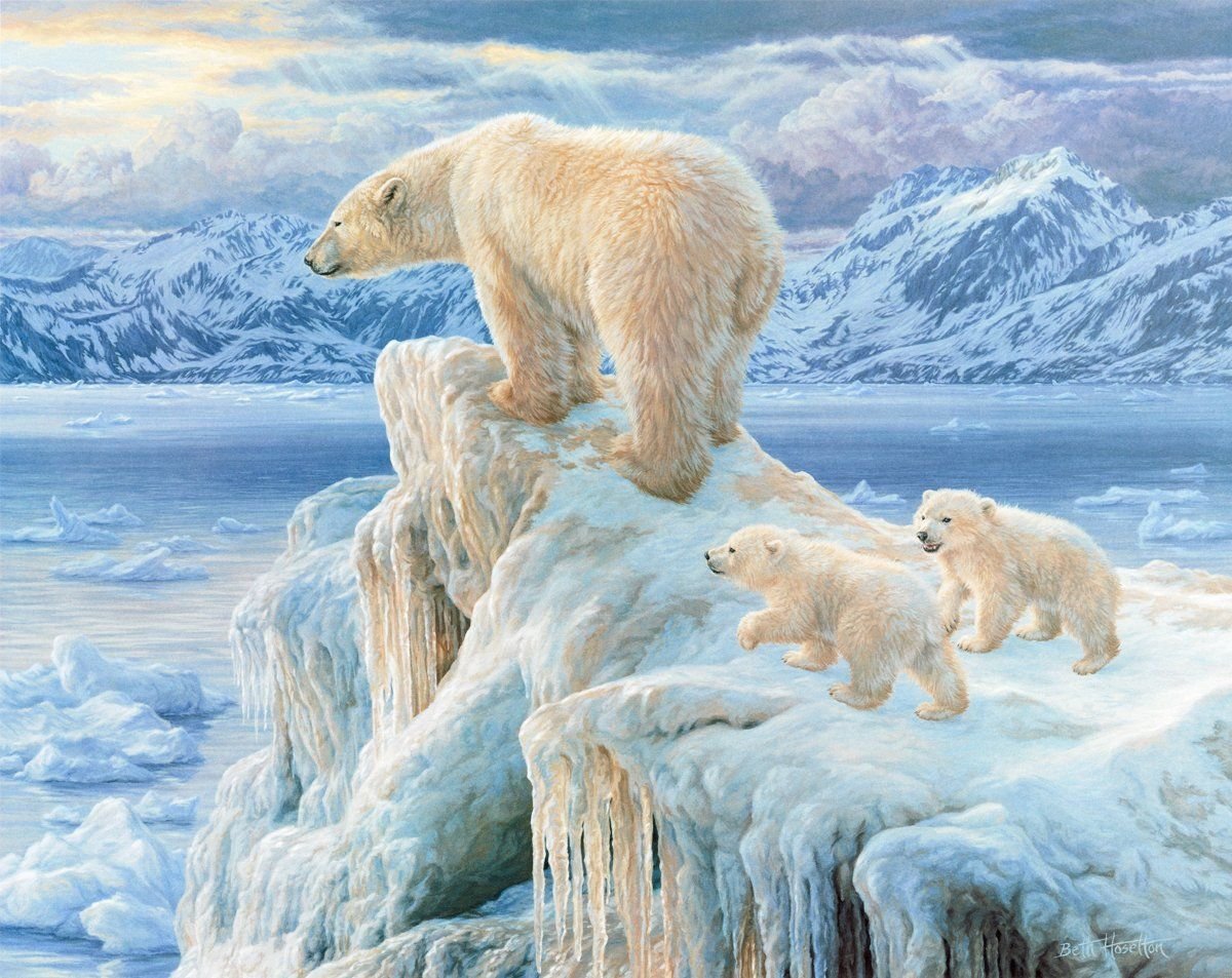 Пазлы Castorland 1000 Arctic Kingdom no c-102525