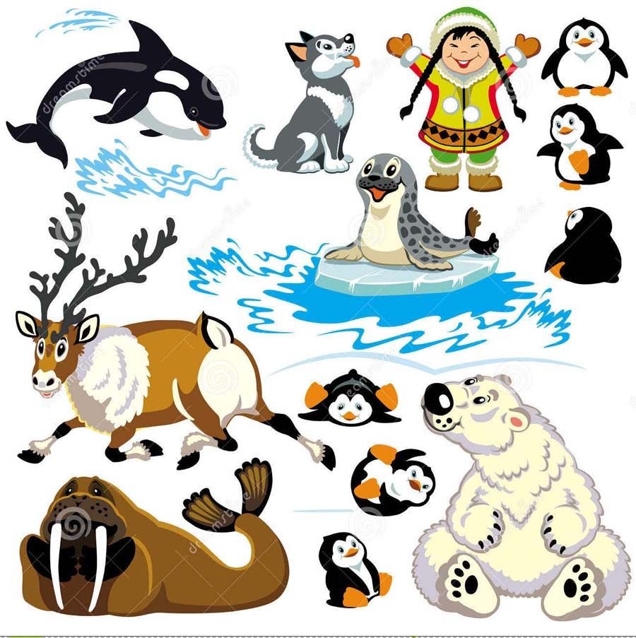 Наклейки животные севера