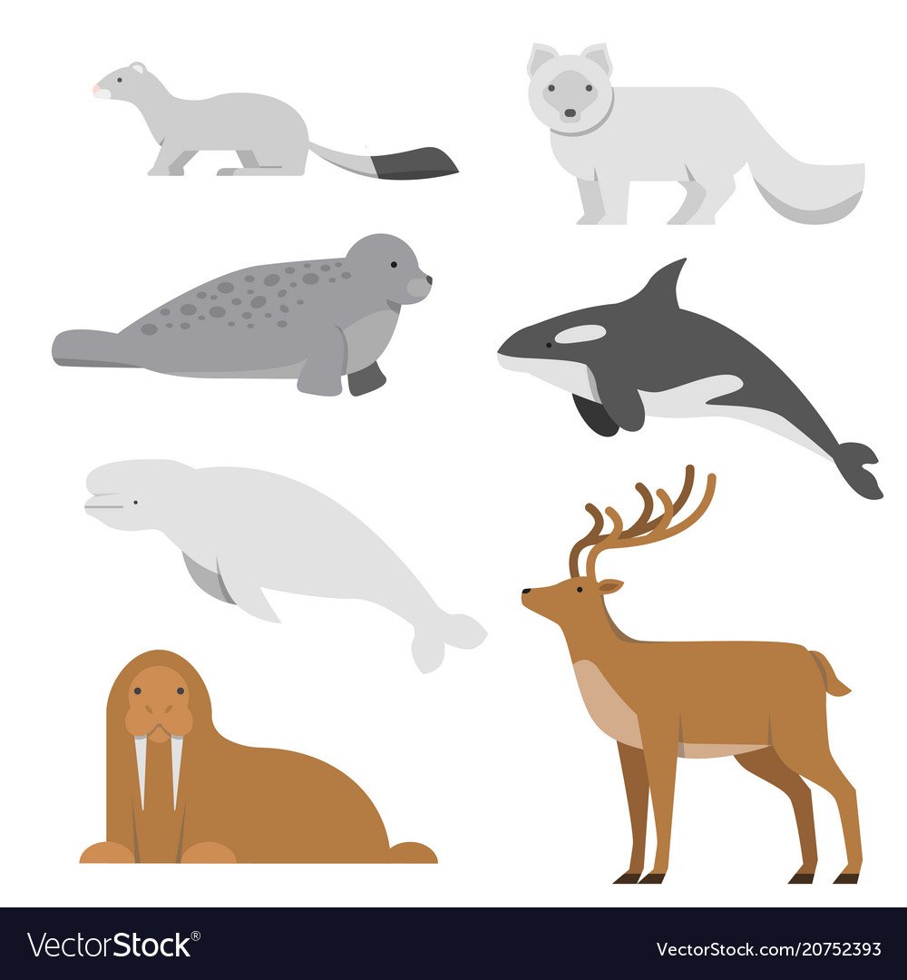 С Рождеством с животными