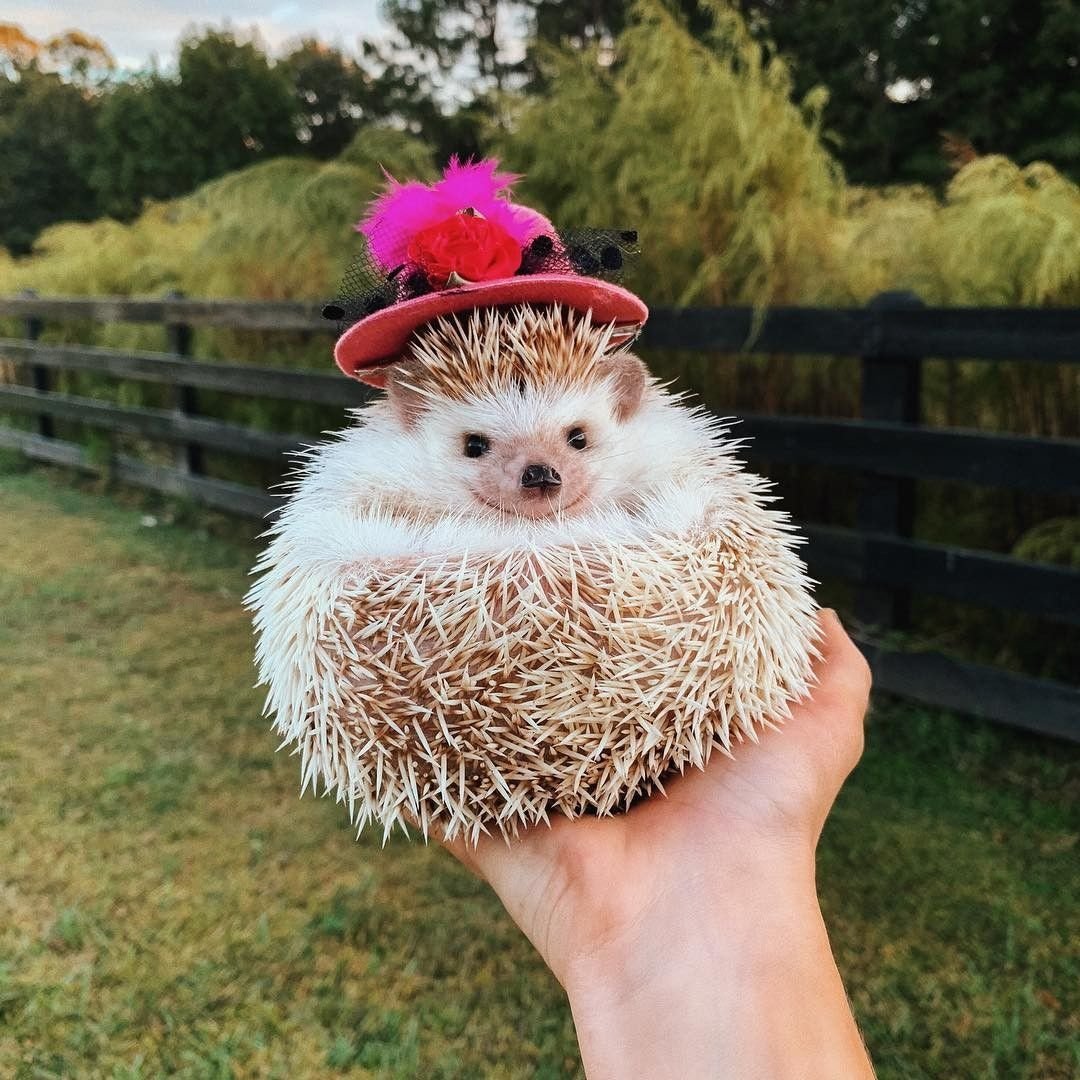 Шапка 'Ёжик'