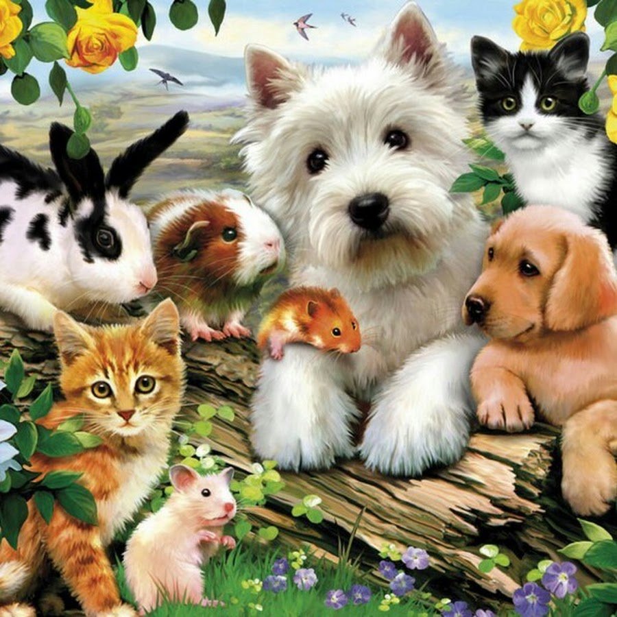 Домашние питомцы для детей