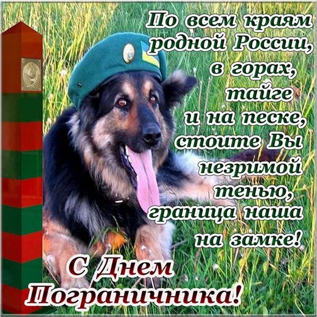 С 23 февраля прикольные