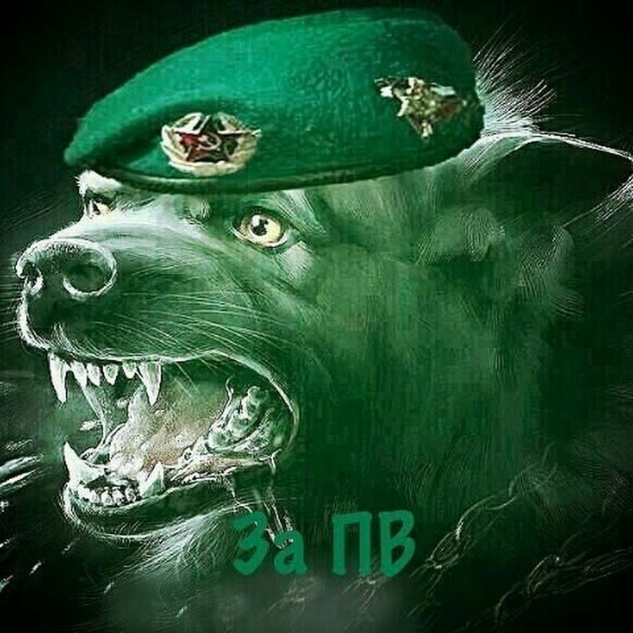 28 Мая день пограничника