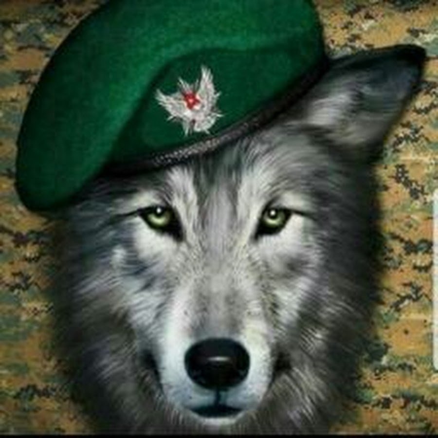 С днём пограничника поздравления