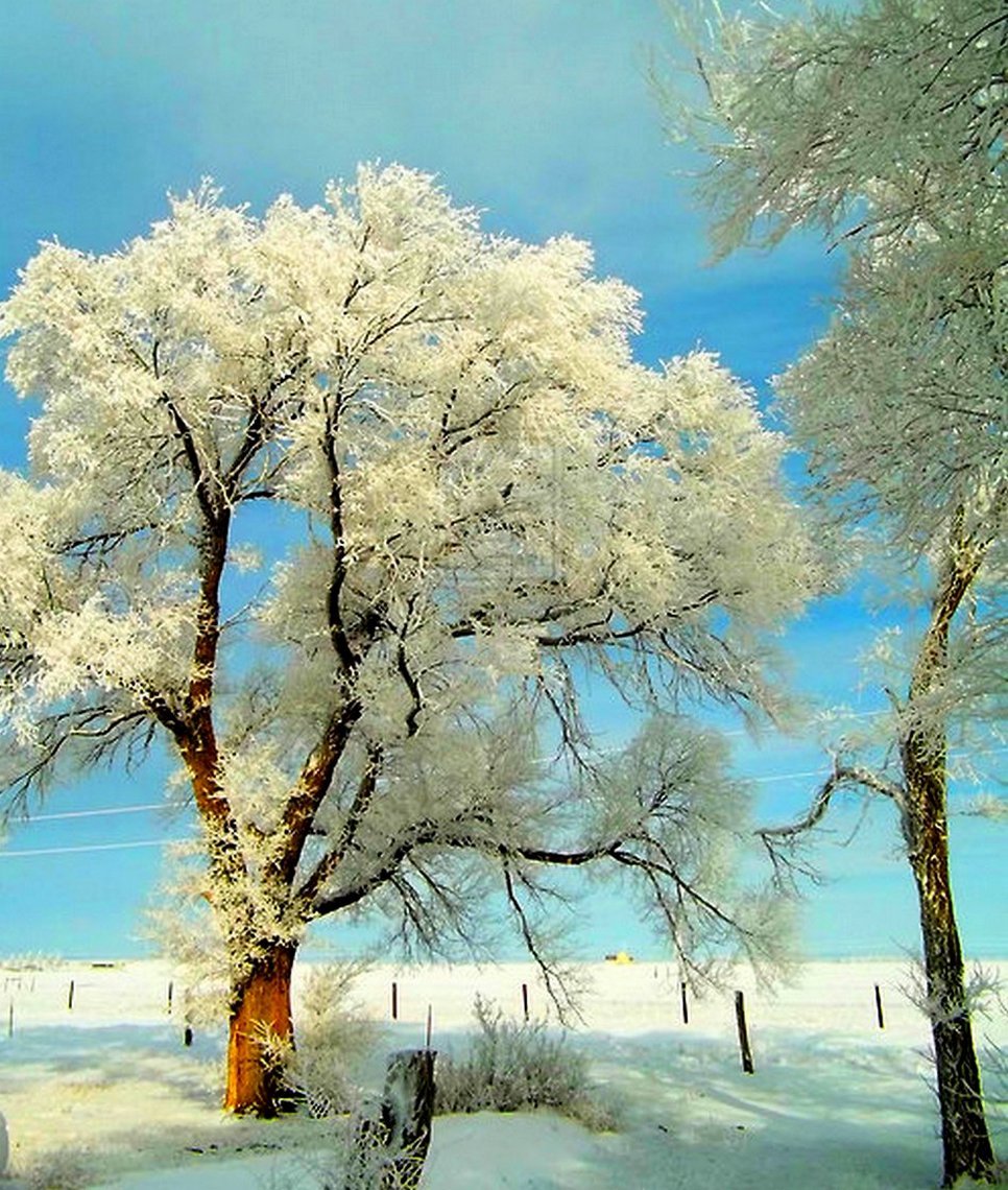 Зимнее настроение