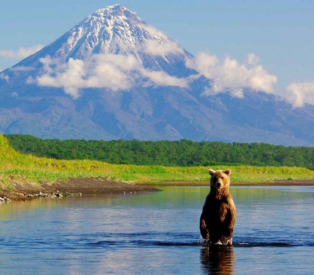 Петропавловск- Камчатский заповедник
