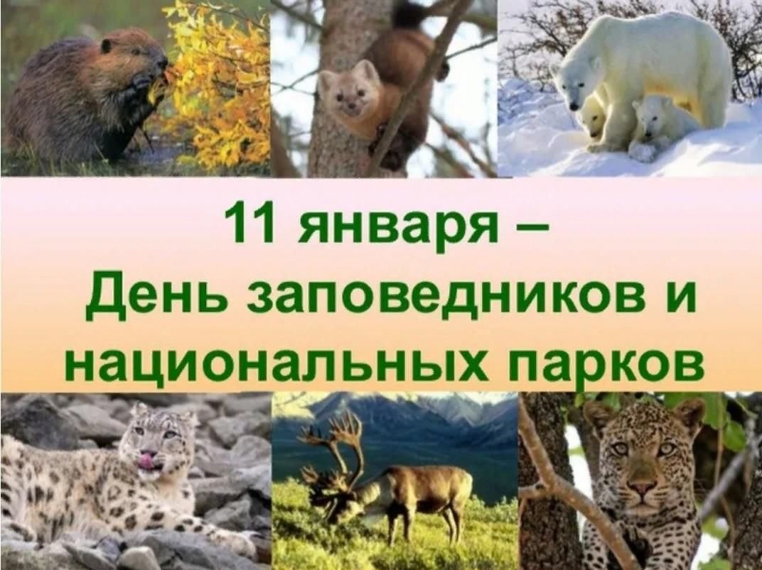 11 Января день заповедников и национальных парков