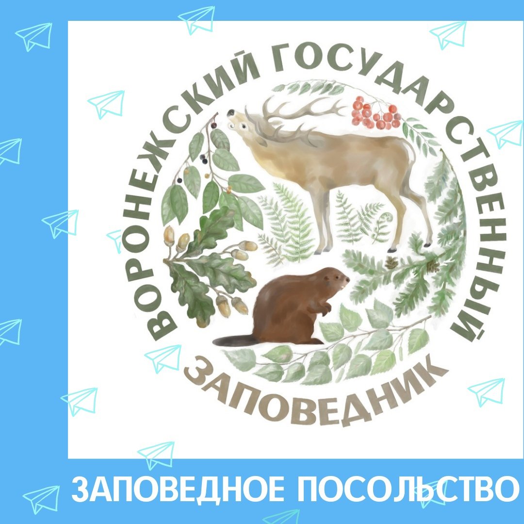 Эмблема Воронежского биосферного заповедника