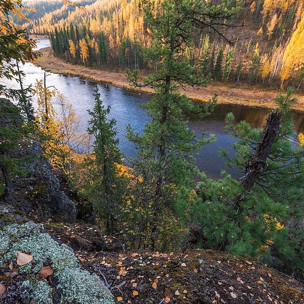 Центрально-Сибирский государственный биосферный заповедник