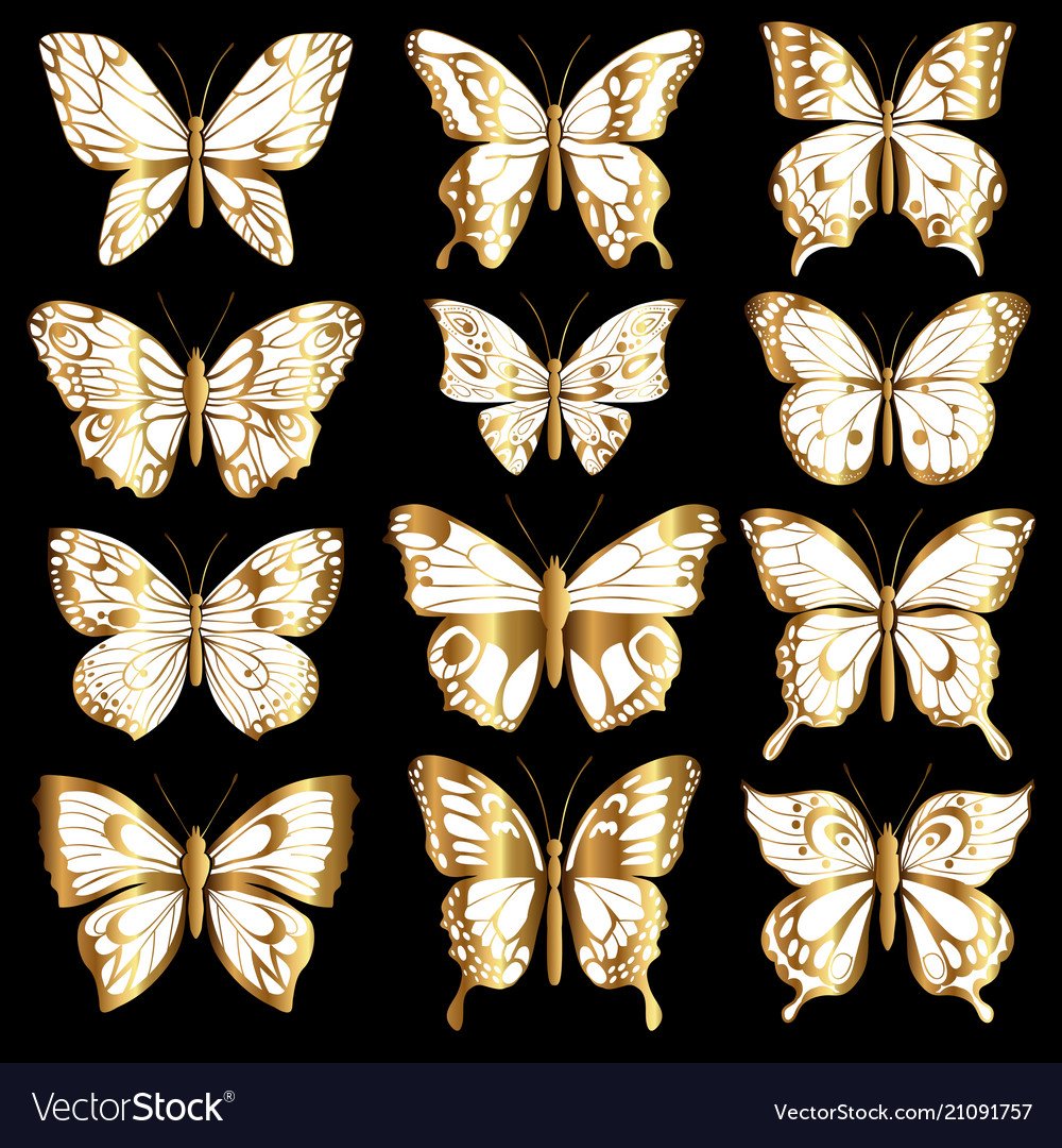 Бабочки золотые картинки