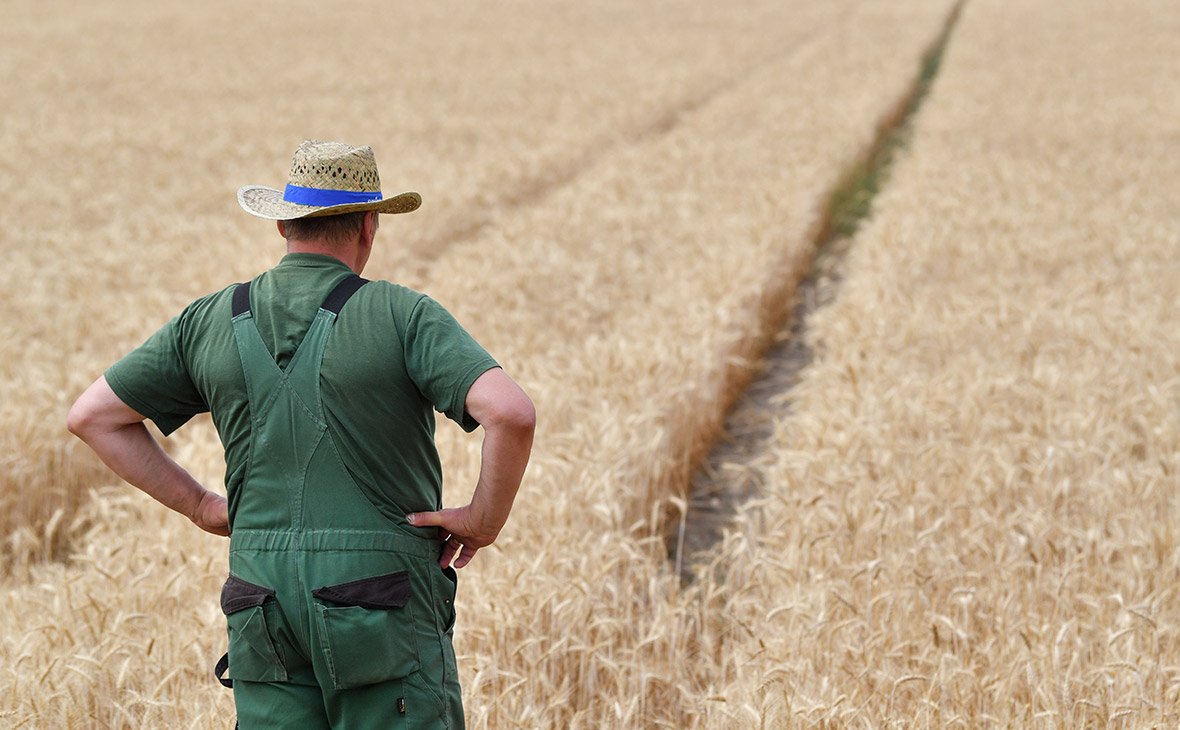 Американский фермер