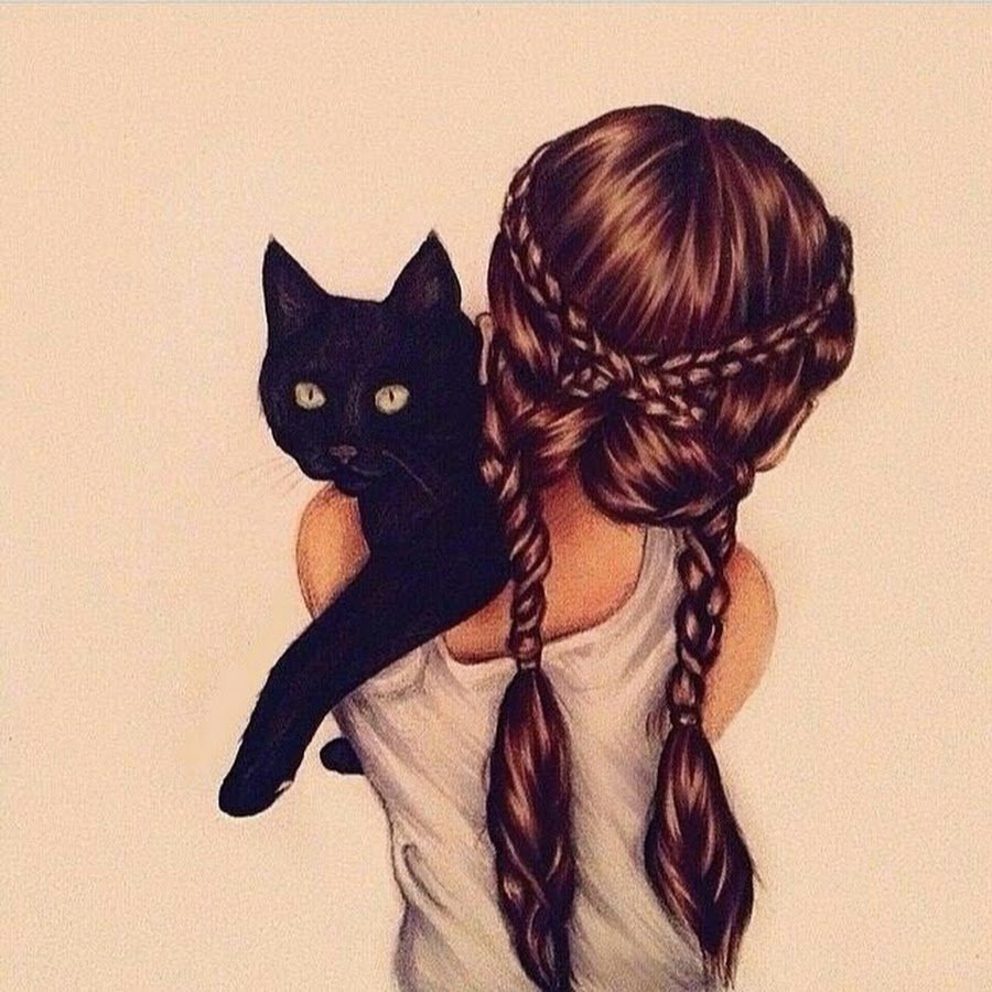 Двушка с котом рисунок