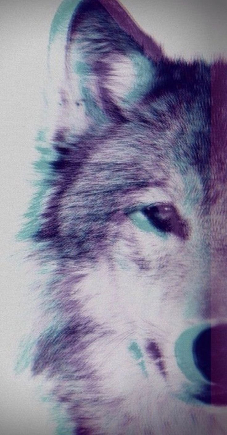 Неоновая собака