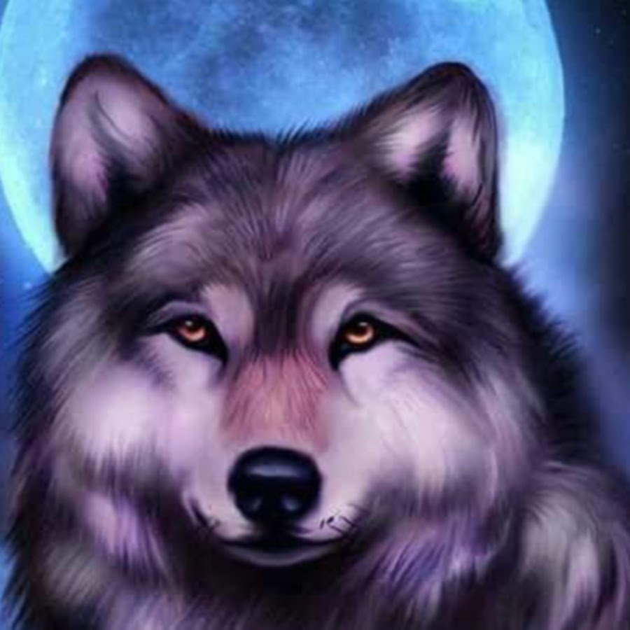 Волк на аву