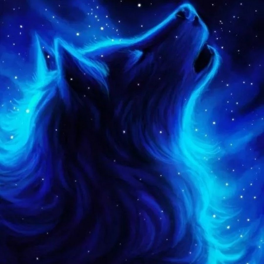 Волк на аву