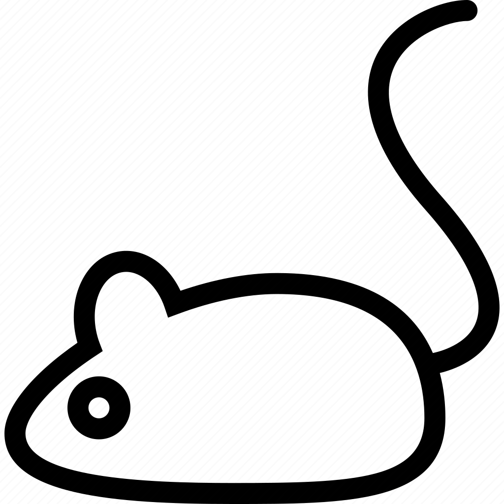 Крыса схематично