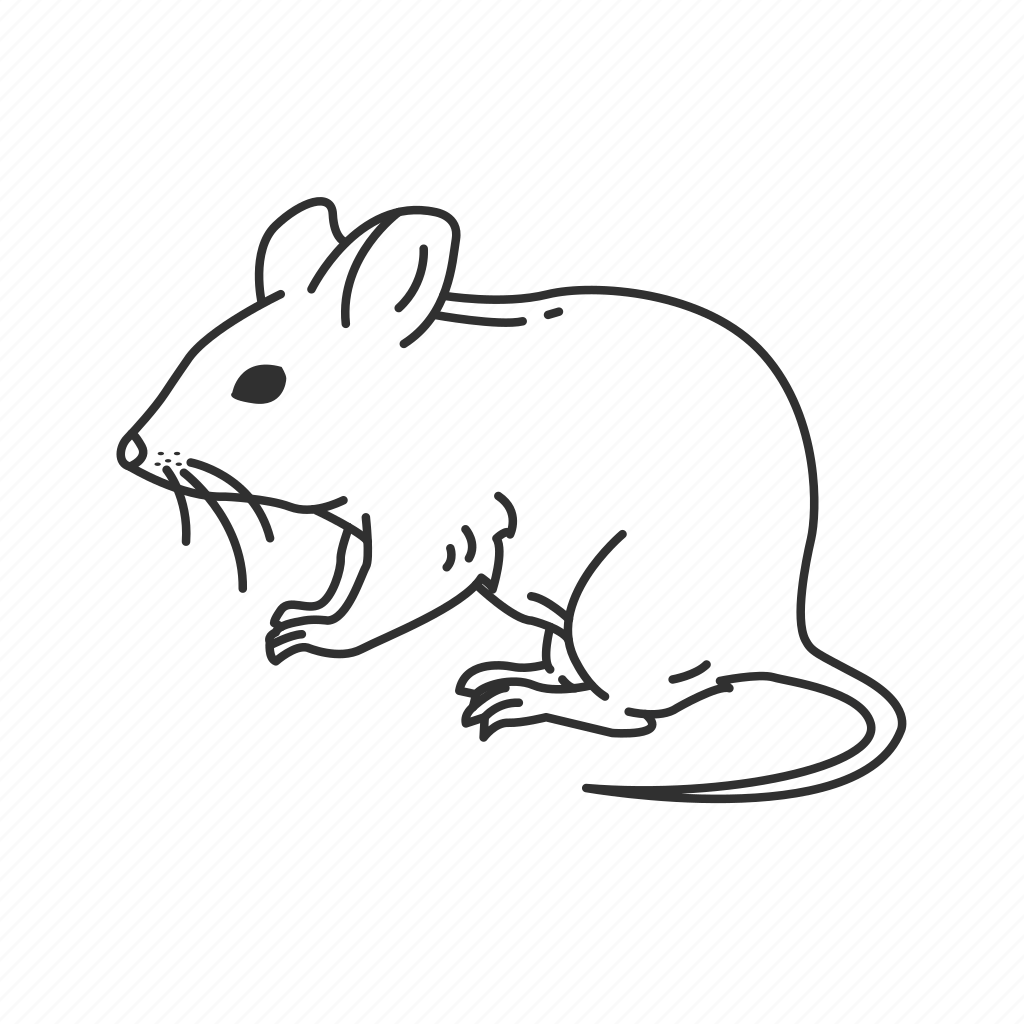 Силуэты бегущих крыс в профиль