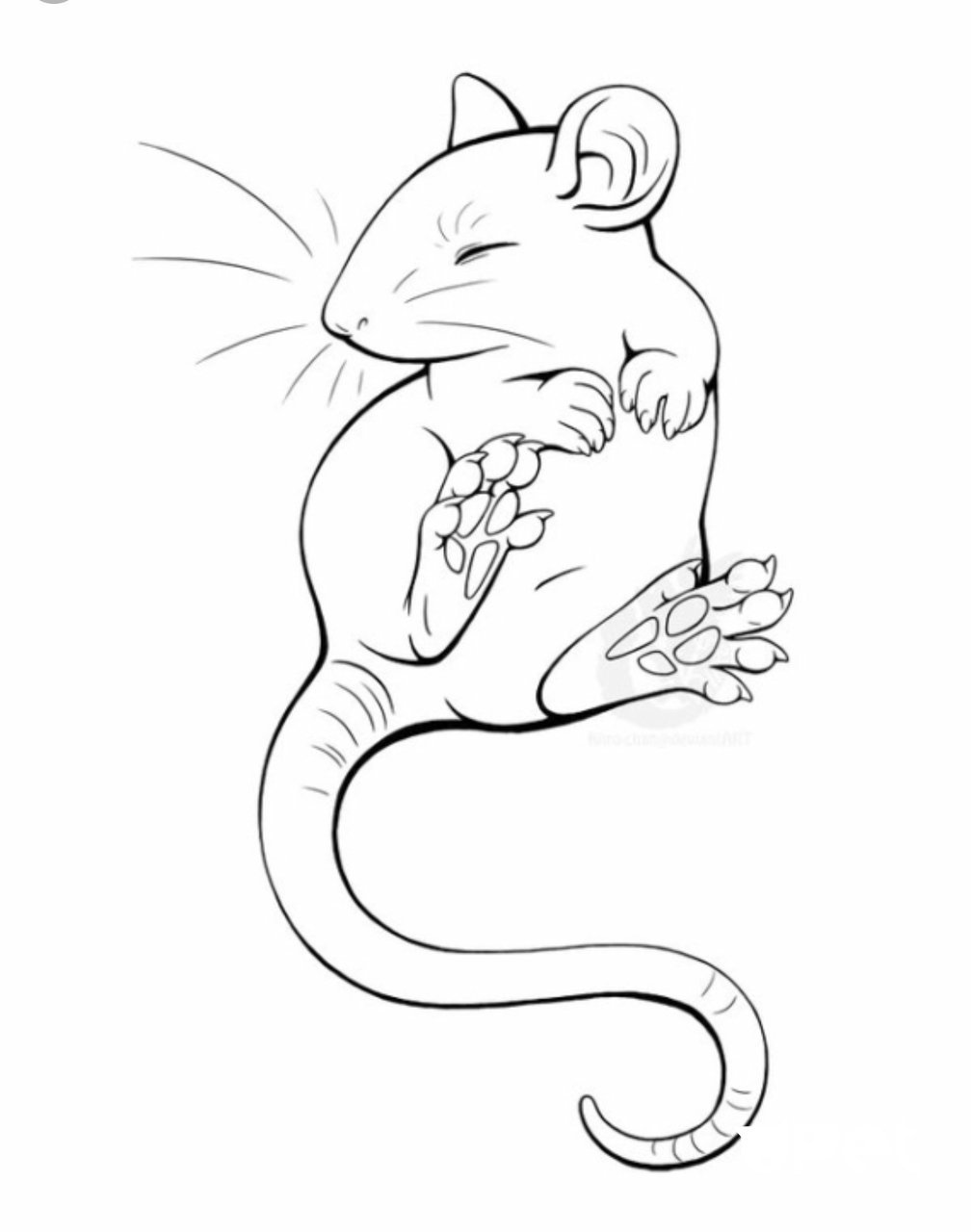 Крыса картинка черно белая