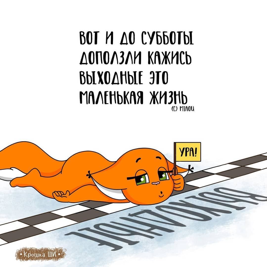 Крошка ши приколы