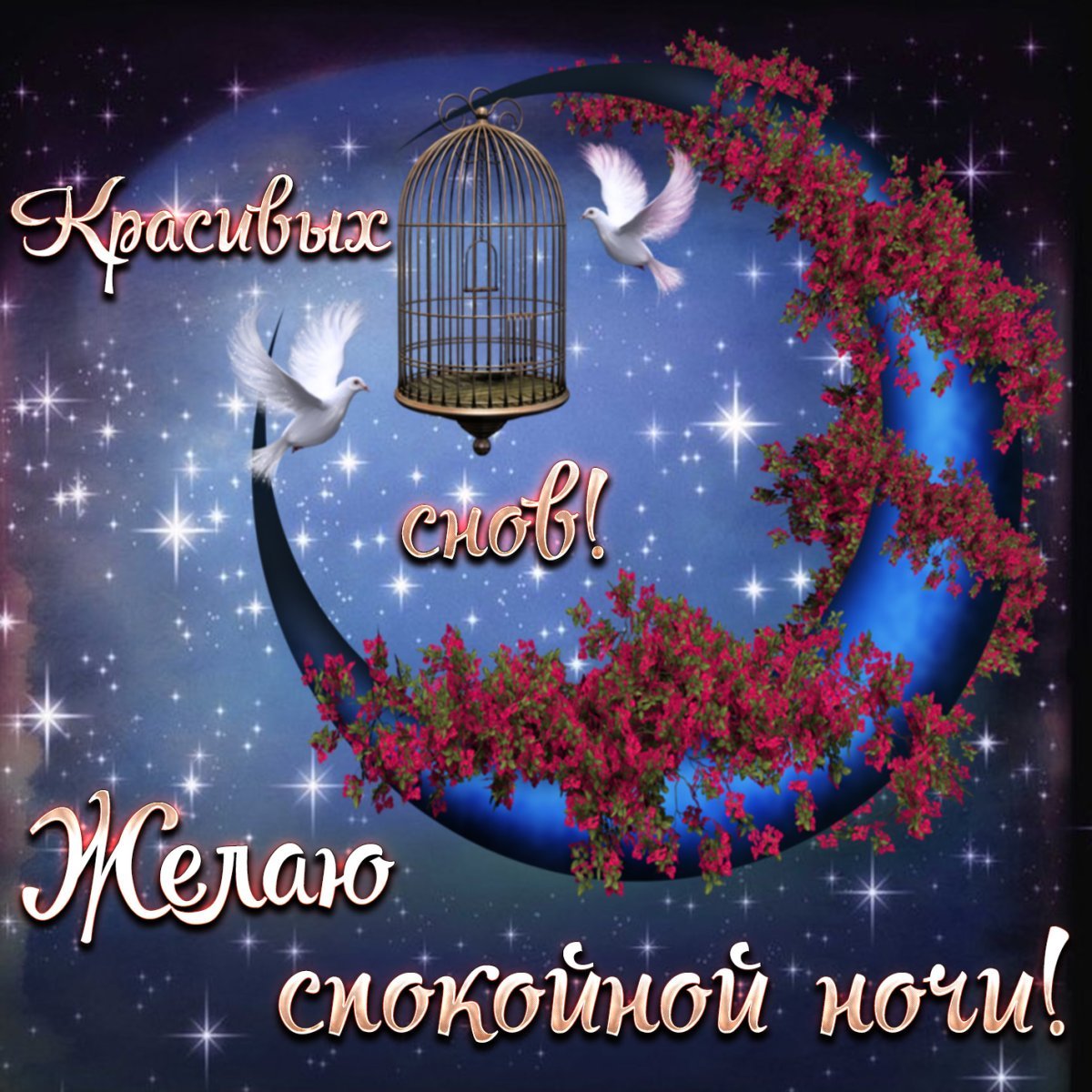 Хорошего вечера море