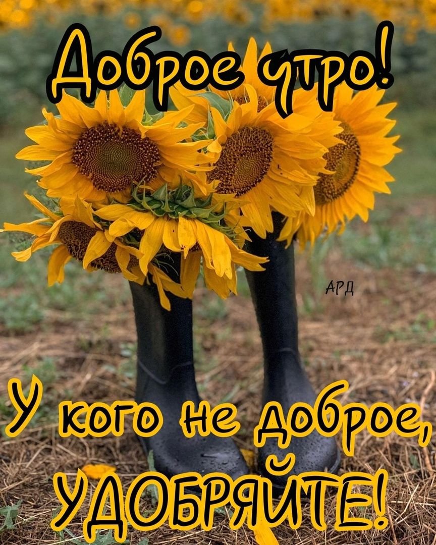 Позитивные пожелания с добрым утром