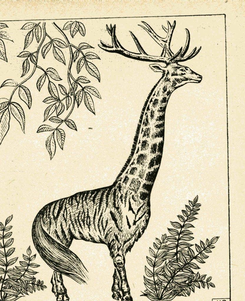 Придуманное животное рисунок