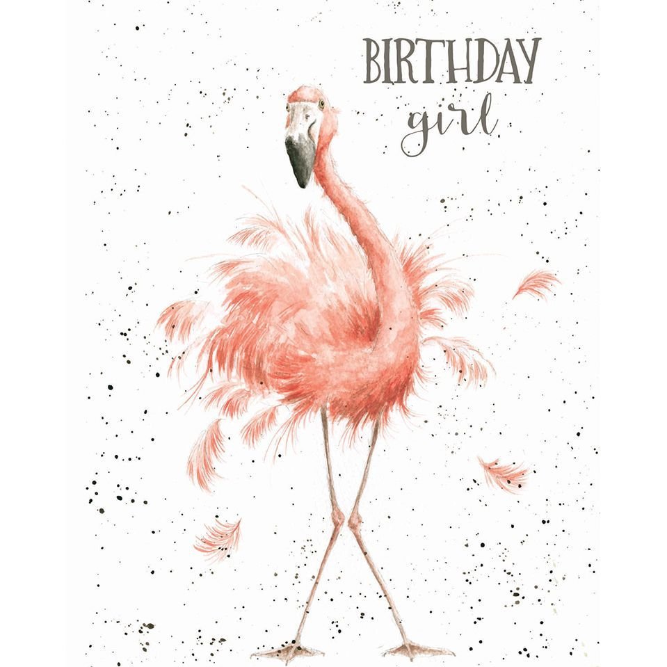 С днем рождения Фламинго