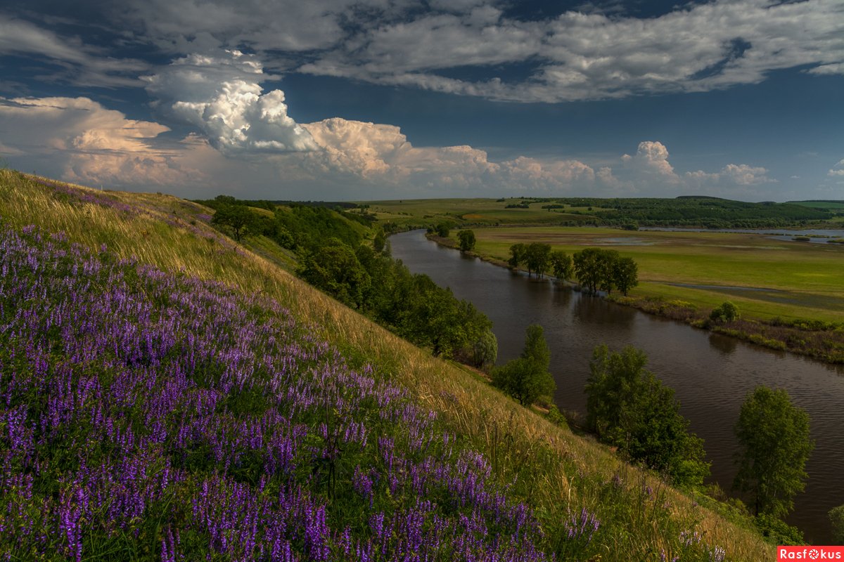 Пойменные Луга Татарстана