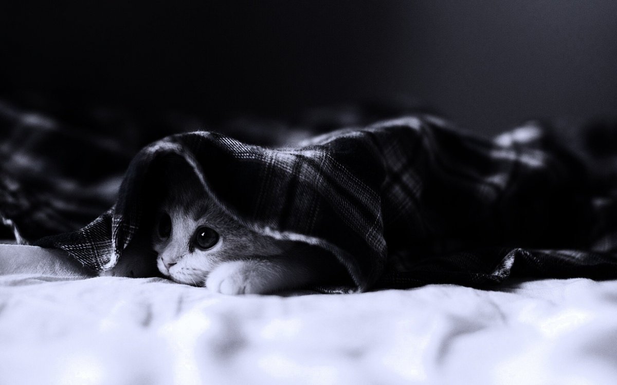 Ночь тишина Луна в окне