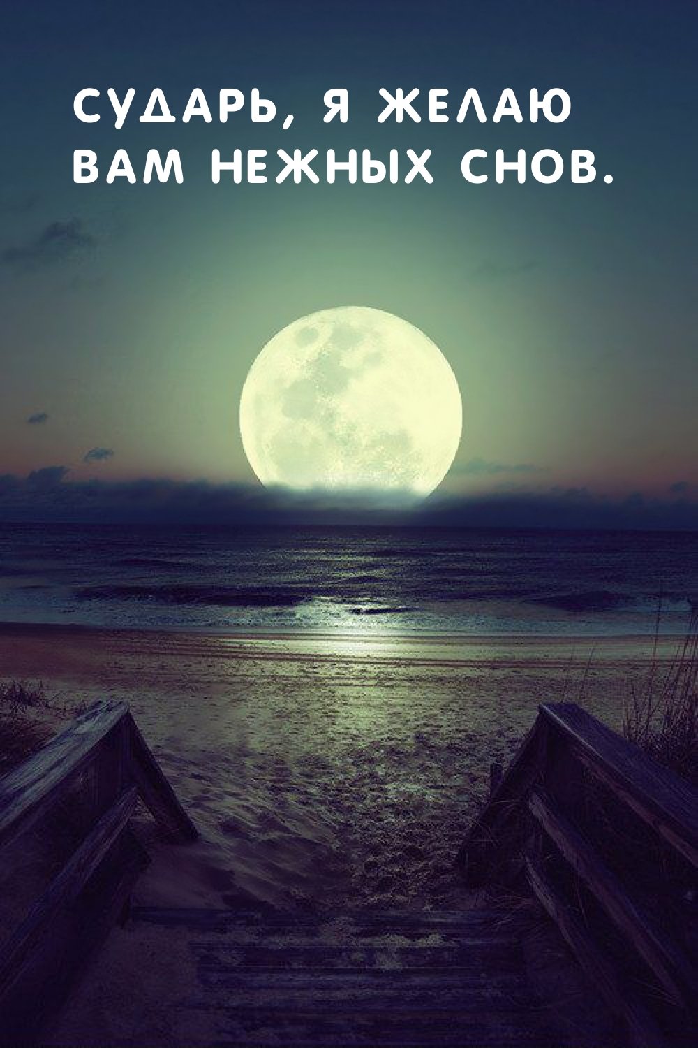 Спокойной ночи цитаты