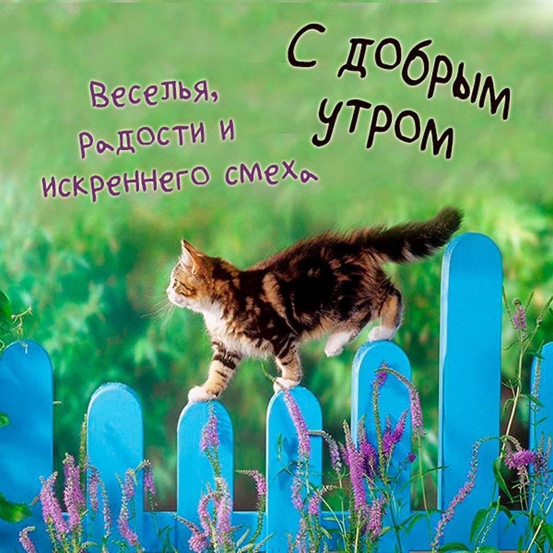 Надпись выздоравливай скорей