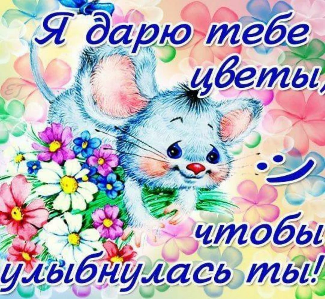 Розовые розы утро