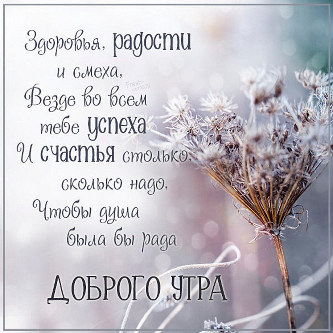 Выздоравливай скорее