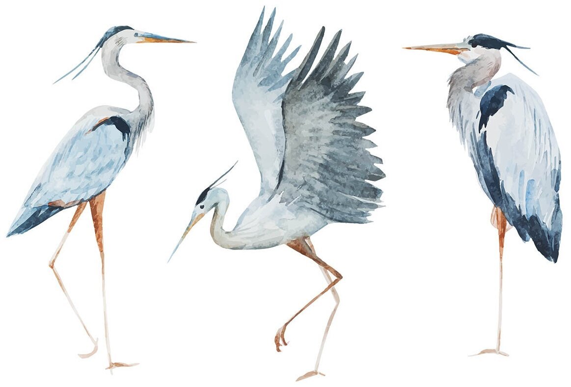 Цапля из мультика