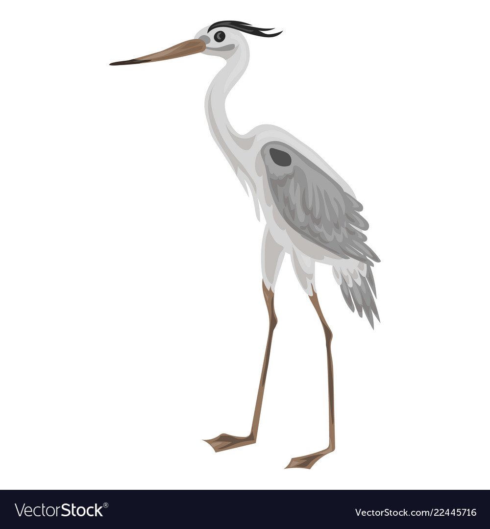 Серая цапля вектор
