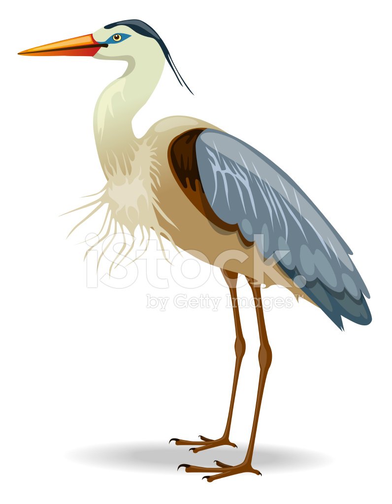 Basic Heron