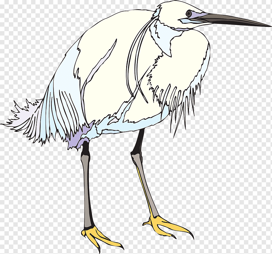 Цапля картинка для детей на прозрачном фоне