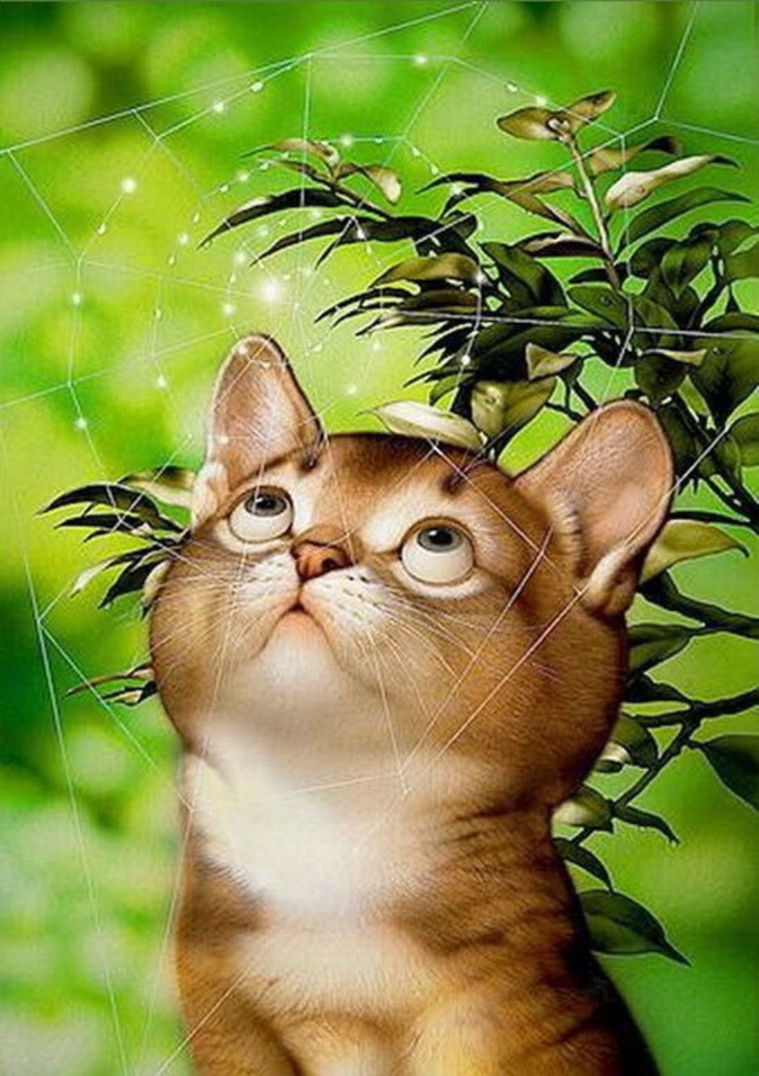 Японский художник Макото Мурамацу